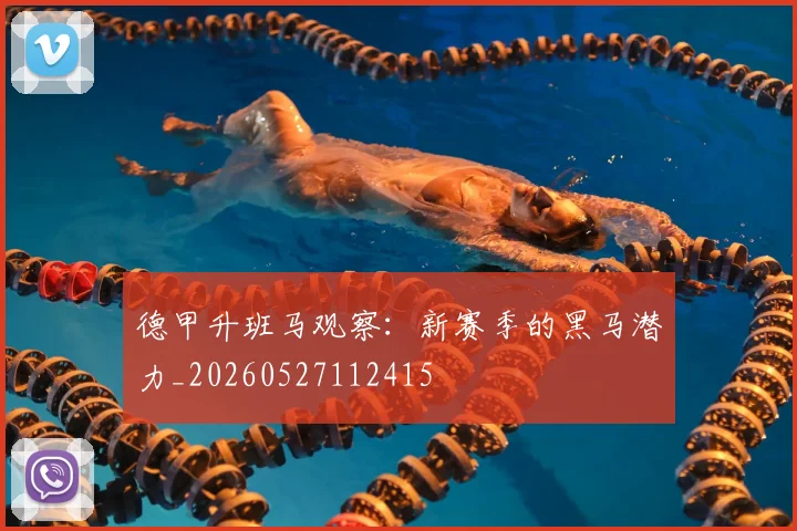 德甲升班马观察:新赛季的黑马潜力_20260527112415