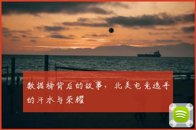 数据榜背后的故事，北美电竞选手的汗水与荣耀